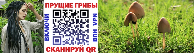 Псилоцибиновые грибы MAGIC MUSHROOMS  Ковдор 